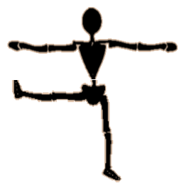 albatross oneleg